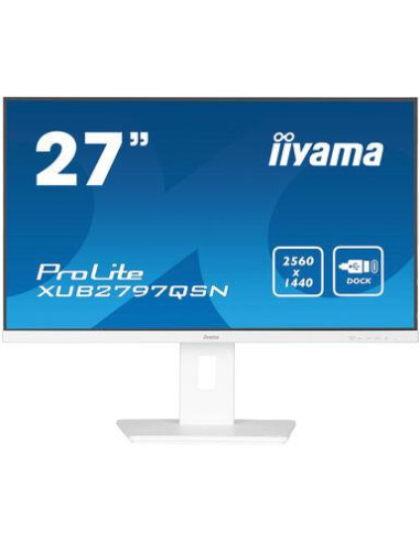 LCD Monitor, IIYAMA, 27", Business, Panel IPS, 2560x1440, 16:9, 100Hz, Matte, 1 ms, Speakers, Swivel, Pivot, Height adjustable,