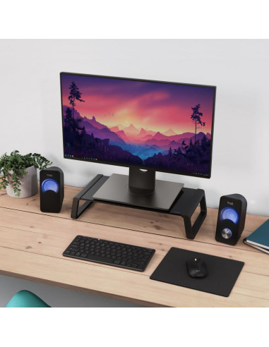 MONITOR ACC STAND MONTA/GLASS BLK 25271 TRUST