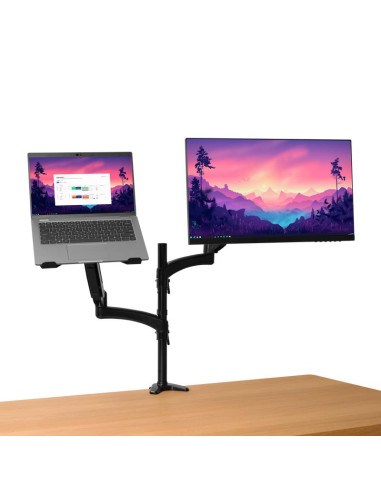 MONITOR ACC ARM DUAL/MARA 25337 TRUST