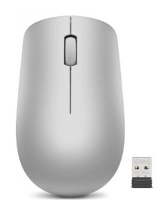 LENOVO 530 WIRELESS MOUSE (PLATINUM GREY) WITH BATTERY