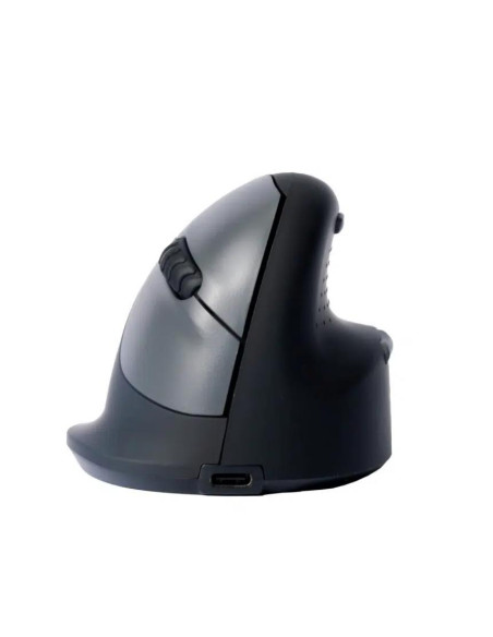 MOUSE USB OPTICAL WRL/RIGHT BLK RGOHELAWL R-GO TOOLS MOUSE USB OPTICAL WRL/RIGHT BLK RGOHELAWL R-GO TOOLS