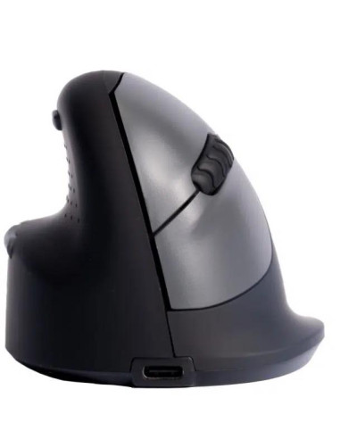 MOUSE USB OPTICAL WRL/LEFT BLACK RGOHEWLL R-GO TOOLS