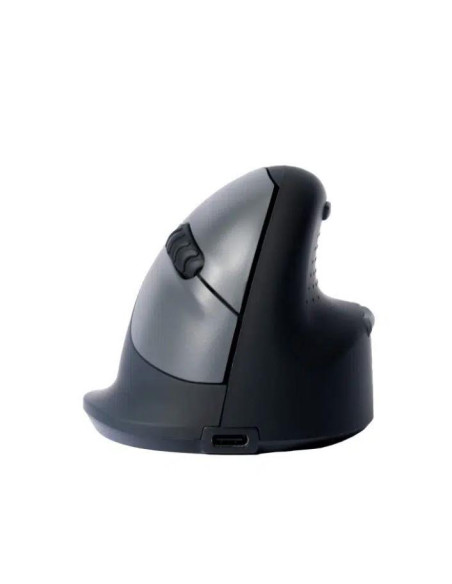 MOUSE USB OPTICAL BREAK/BLACK RGOHBRSWLBL R-GO TOOLS