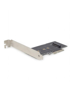 PC ACC M.2 SSD ADAPTER PCI-E/ADD-ON CARD PEX-M2-01 GEMBIRD