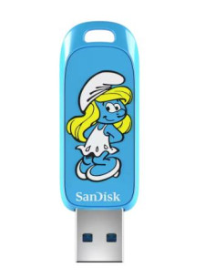 MEMORY DRIVE FLASH USB3.2/256GB SDCZIS-256G-G46 SANDISK