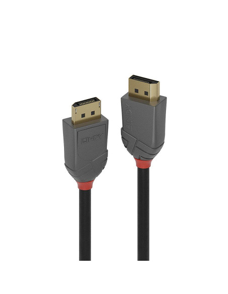 CABLE DISPLAY PORT 0.5M/ANTHRA 36480 LINDY CABLE DISPLAY PORT 0.5M/ANTHRA 36480 LINDY