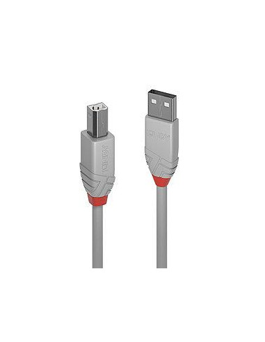 CABLE USB2 A-B 2M/ANTHRA GREY36683 LINDY