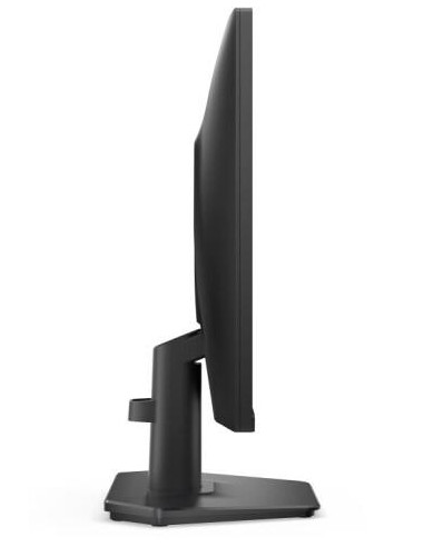 LCD Monitor, DELL, 24 ", 1920 x 1080 pixels, Full HD, Native aspect ratio 16:9, LCD, Flat, 210-BSNR