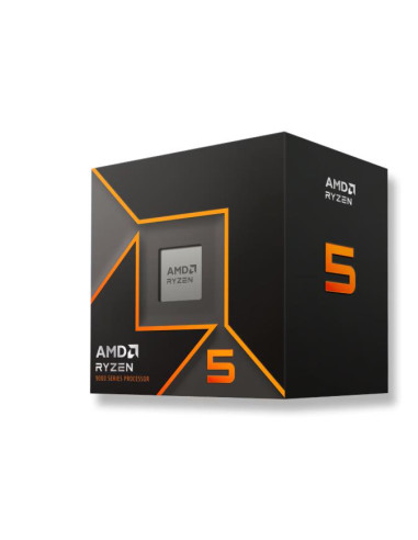 CPU, AMD, Desktop, AMD Ryzen 5, R5-9600, 3800 MHz, Cores 6, 32MB, Socket SAM5, 65 Watts, GPU Radeon, BOX, 100-100000718BOX