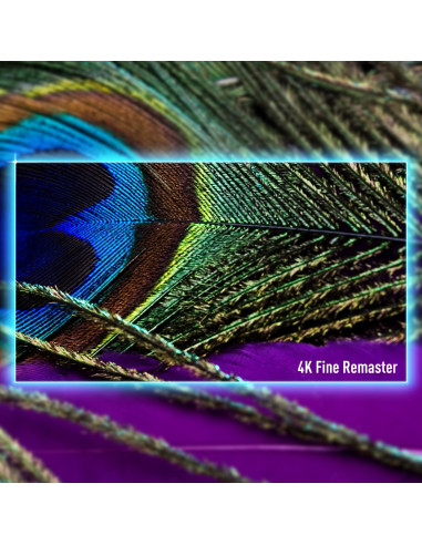 TV Set, PANASONIC, 55", 4K/Smart, 3840x2160, Wireless LAN, Bluetooth, Google TV, TV-55W90AEG