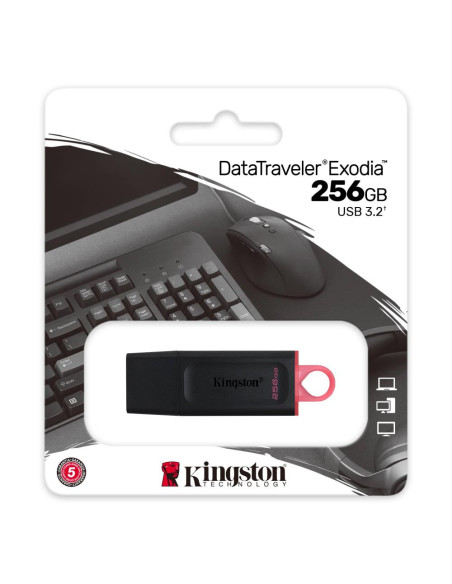 MEMORY DRIVE FLASH USB3.2/256GB DTX/256GB KINGSTON MEMORY DRIVE FLASH USB3.2/256GB DTX/256GB KINGSTON