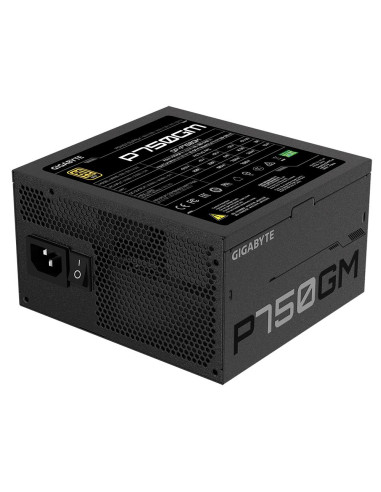 Power Supply, GIGABYTE, GP-P750GM, 750 Watts, Efficiency 80 PLUS GOLD, PFC Active, MTBF 100000 hours, GP-P750GM