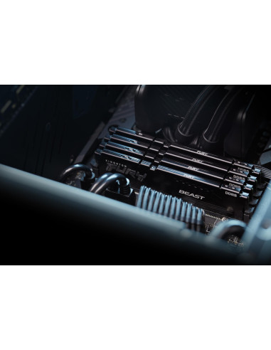 MEMORY DIMM 32GB DDR5-6000/KF560C36BBE2-32 KINGSTON