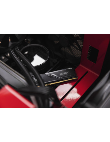 MEMORY DIMM 16GB PC25600 DDR4/KF432C16BB1/16 KINGSTON