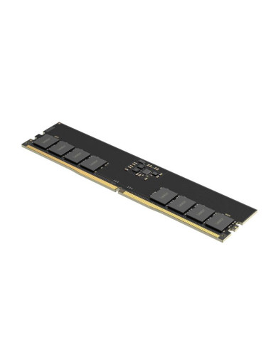 MEMORY DIMM 16GB DDR5-5600/LD5U16G56C46ST-BGS LEXAR