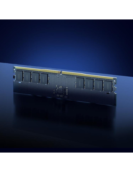 MEMORY DIMM 16GB DDR5-5600/LD5U16G56C46ST-BGS LEXAR