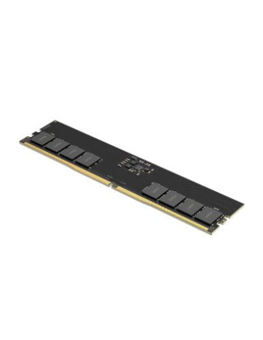 NB MEMORY 32GB DDR5-5600/LD5U32G56C46ST-BGS LEXAR