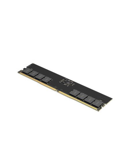 MEMORY DIMM 32GB DDR5-5600/LD5U32G56C46ST-BGS LEXAR
