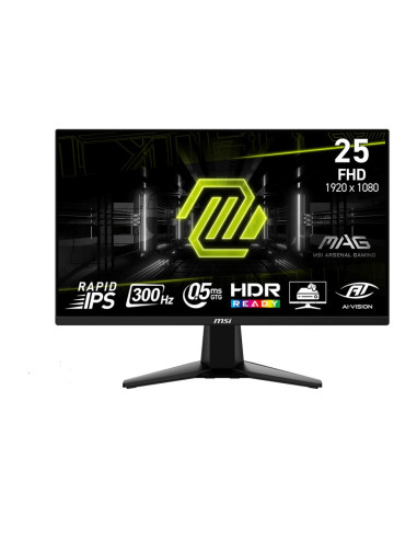 LCD Monitor, MSI, 24.5 ", 1920x1080 pixels, Full HD, Native aspect ratio 16:9, LCD, Flat, MAG255XF