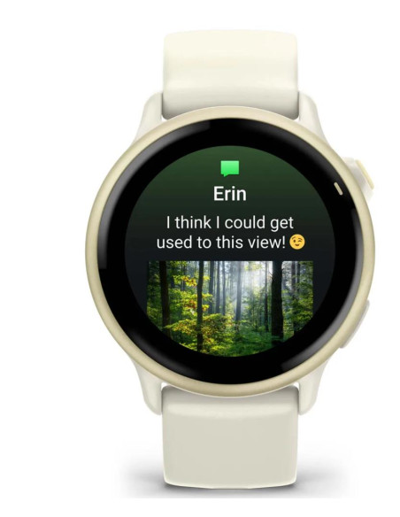 SMARTWATCH VIVOACTIVE 6/LUNAR GOLD 010-02985-01 GARMIN