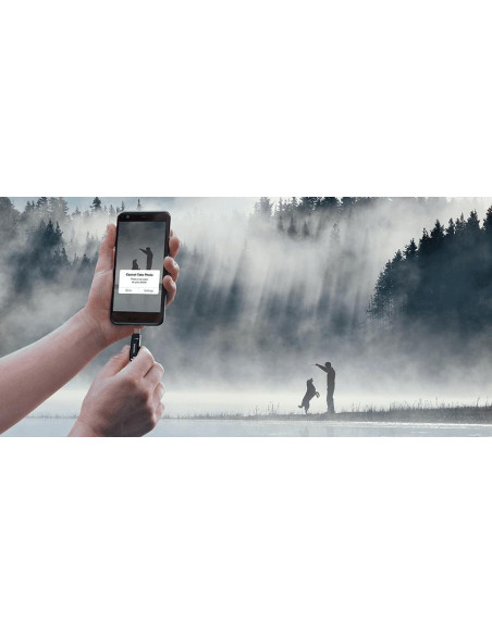 MEMORY DRIVE FLASH USB-C 256GB/SDDDC3-256G-G46 SANDISK