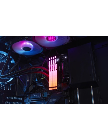 MEMORY DIMM 16GB DDR5-6000/K2 KF560C36BBEAK2-16 KINGSTON