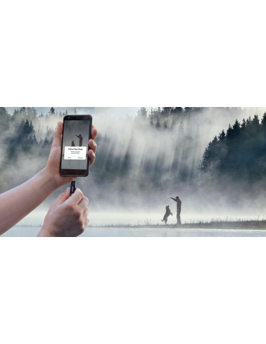 MEMORY DRIVE FLASH USB-C 512GB/SDDDC3-512G-G46 SANDISK