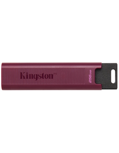 MEMORY DRIVE FLASH USB3.2/256GB DTMAXA/256GB KINGSTON