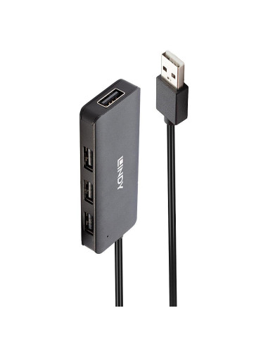 I/O HUB USB2 4PORT/42986 LINDY