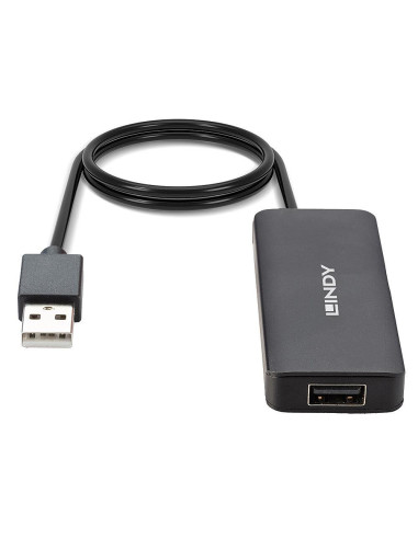 I/O HUB USB2 4PORT/42986 LINDY