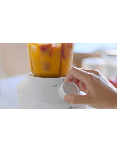 BLENDER/HR2041/00 PHILIPS