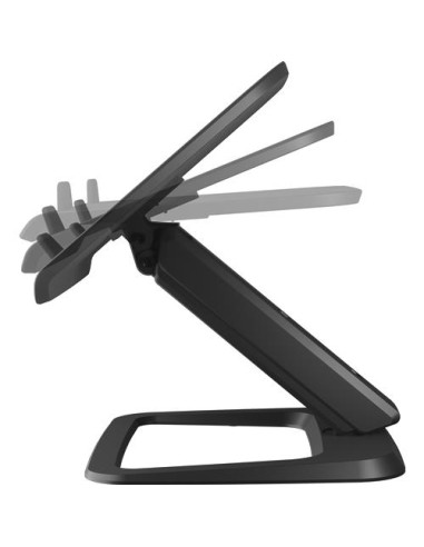 NB ACC STAND HANA LT/BLACK 100016994 FELLOWES