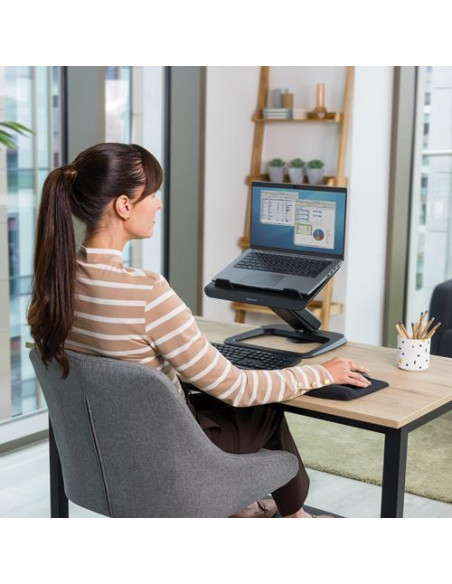 NB ACC STAND HANA LT/BLACK 100016994 FELLOWES