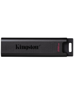 MEMORY DRIVE FLASH USB3.2/256GB DTMAX/256GB KINGSTON