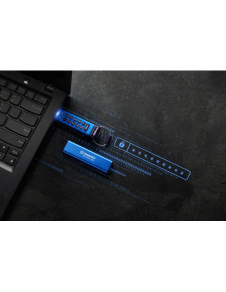 MEMORY DRIVE FLASH USB3.2/128GB IKKP200/128GB KINGSTON