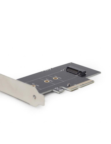 PC ACC M.2 SSD ADAPTER PCI-E/ADD-ON CARD PEX-M2-01 GEMBIRD