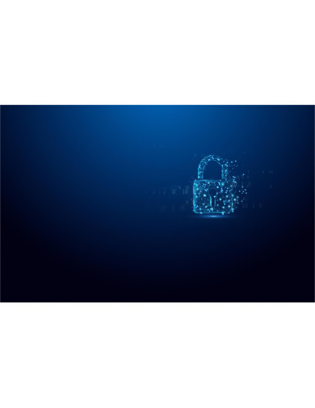 MEMORY DRIVE FLASH USB3.2 32GB/IKVP50/32GB KINGSTON