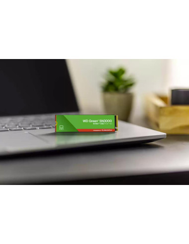 SSD, SANDISK, 150xTBW rating, MTBF 1.75 h, NVMe Yes, PCI Express 4.0, M.2, 1000 GB, WDS100T4G1E-00CPS0