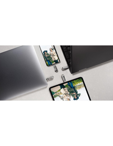 MEMORY DRIVE FLASH USB-C 256GB/SDDDC4-256G-G46 SANDISK