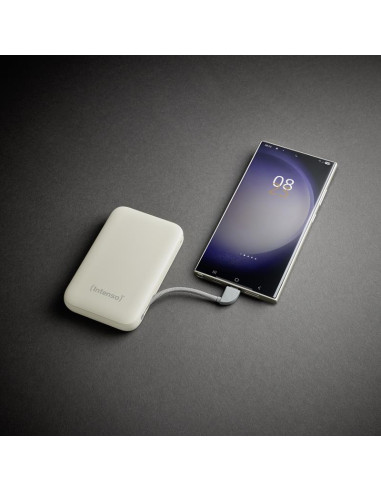 POWER BANK USB 10000MAH/BEIGE S10000 7333031 INTENSO