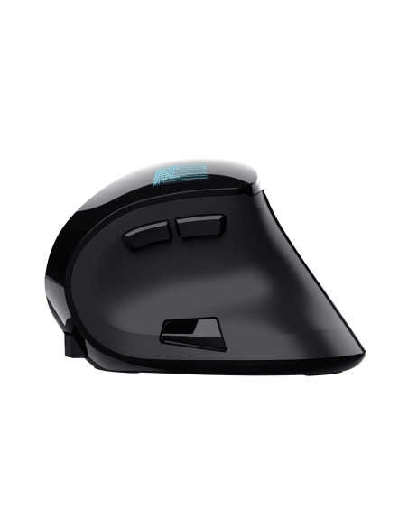 MOUSE USB OPTICAL ERGONOMIC/VOXX 23731 TRUST