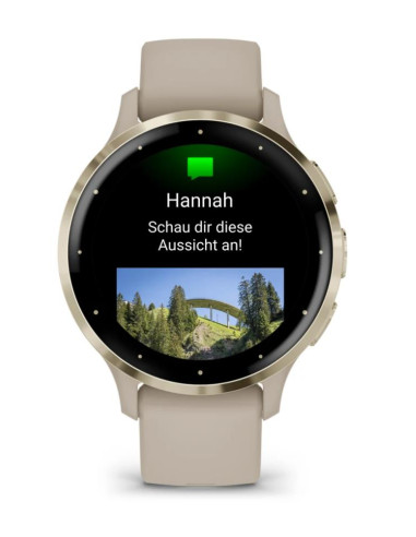 SMARTWATCH VENU 3S/GRAY/GOLD 010-02785-02 GARMIN