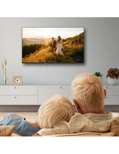 TV Set, THOMSON, 43 ", 4K Ultra HD, 1920 x 1080 pixels, Flat, 16:9, LED, 43FD2S13