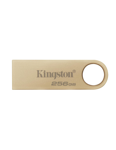 MEMORY DRIVE FLASH USB3.2/256GB DTSE9G3/256GB KINGSTON