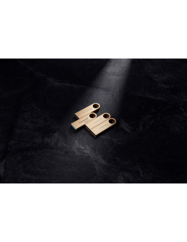 MEMORY DRIVE FLASH USB3.2/256GB DTSE9G3/256GB KINGSTON