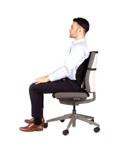 CHAIR BACK SUPPORT/BACK ANGEL 8026401 FELLOWES