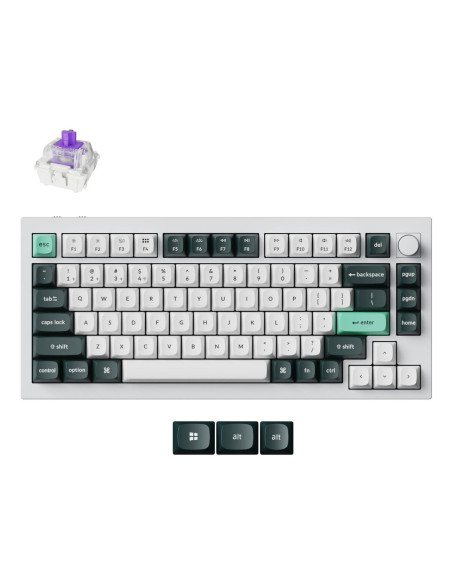 KEYBOARD WRL Q1 HE RGB/SHELL WHITE Q1H-P1 KEYCHRON