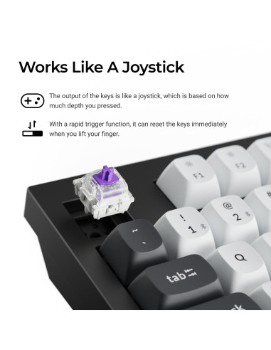 KEYBOARD WRL Q5 HE RGB/SHELL WHITE Q5H-P1 KEYCHRON