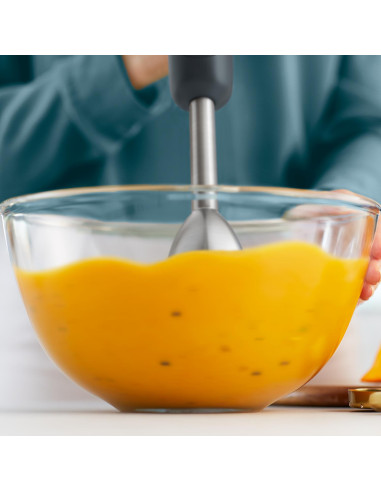 BLENDER/HR2522/00 PHILIPS