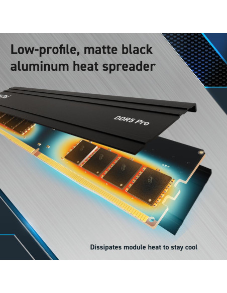 MEMORY DIMM PRO 32GB DDR5-5600/CP32G56C46U5 CRUCIAL